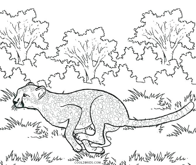 Printable Cheetah Coloring Pages For Kids Running Cheetah Coloring 670x563 Printable Cheetah Coloring Pages For Kids Running Cheetah Coloring
