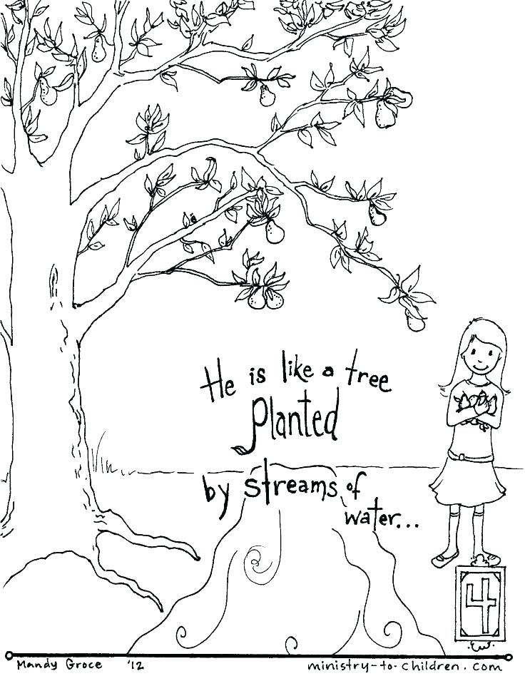 736x955 Bible Story Coloring Book As Well As Christian Coloring Pages