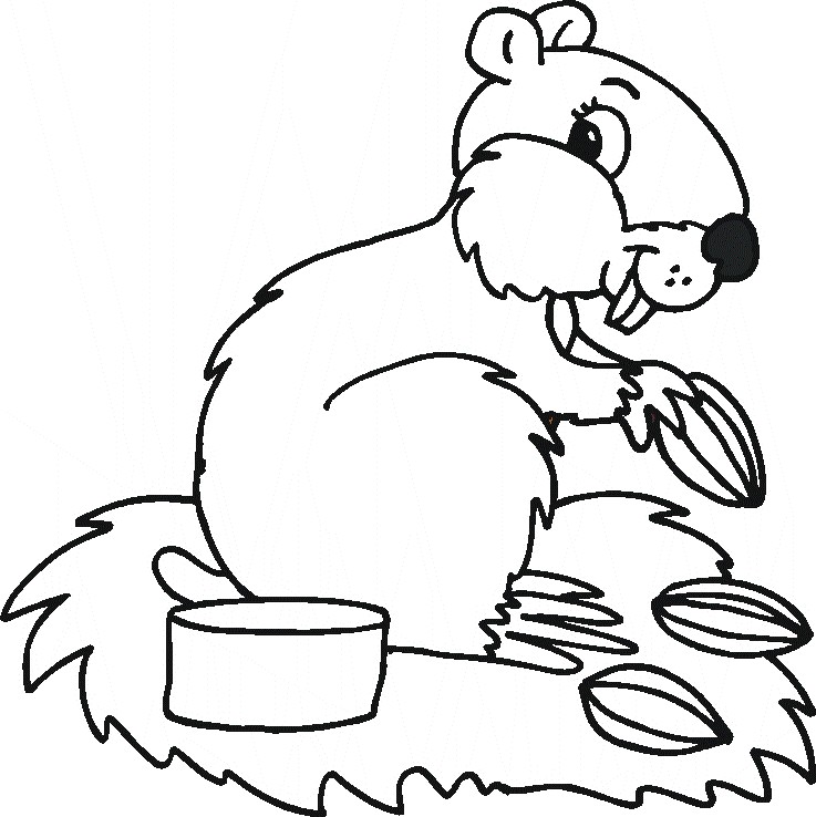 Coloring Pages Of Animals The Sun Flower Pages 737x738 Coloring Pages Of Animals The Sun Flower Pages
