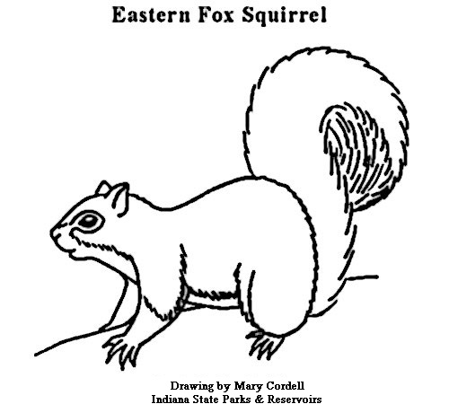 Dnr Coloring Pages 500x450 Dnr Coloring Pages