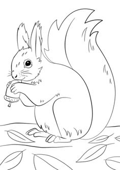 The Three Little Kittens Children's Coloring Books 236x333 The Three Little Kittens Children's Coloring Books