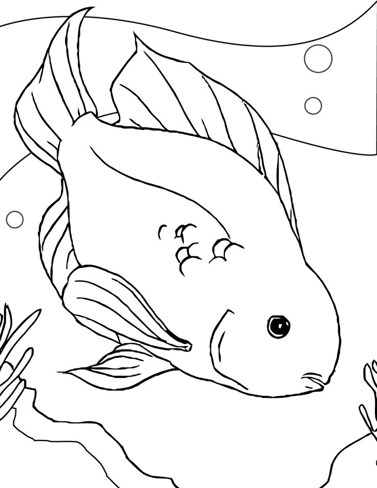 28 Best Animals Images On Children Coloring Pages 736x952 28 Best Animals Images On Children Coloring Pages