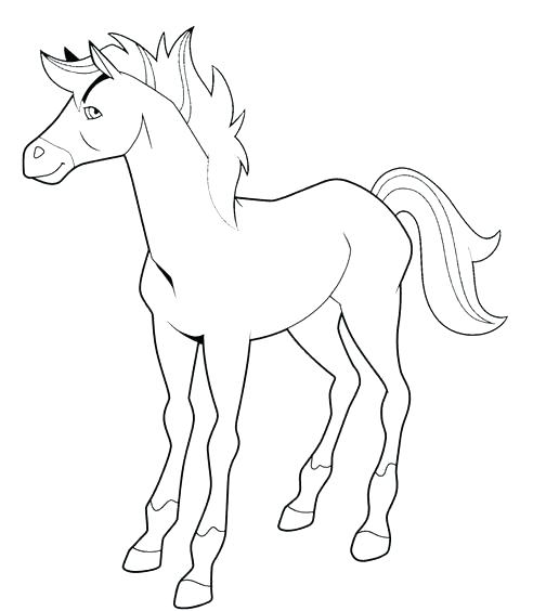 504x564 Horseland Coloring Pages Coloring Pages Coloring Pages Chili