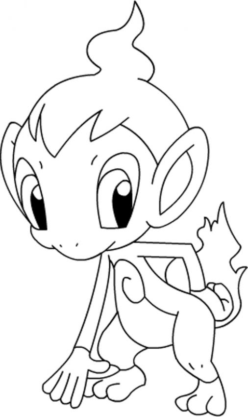 506x850 Majestic Design Pokemon Coloring Pages Chimchar