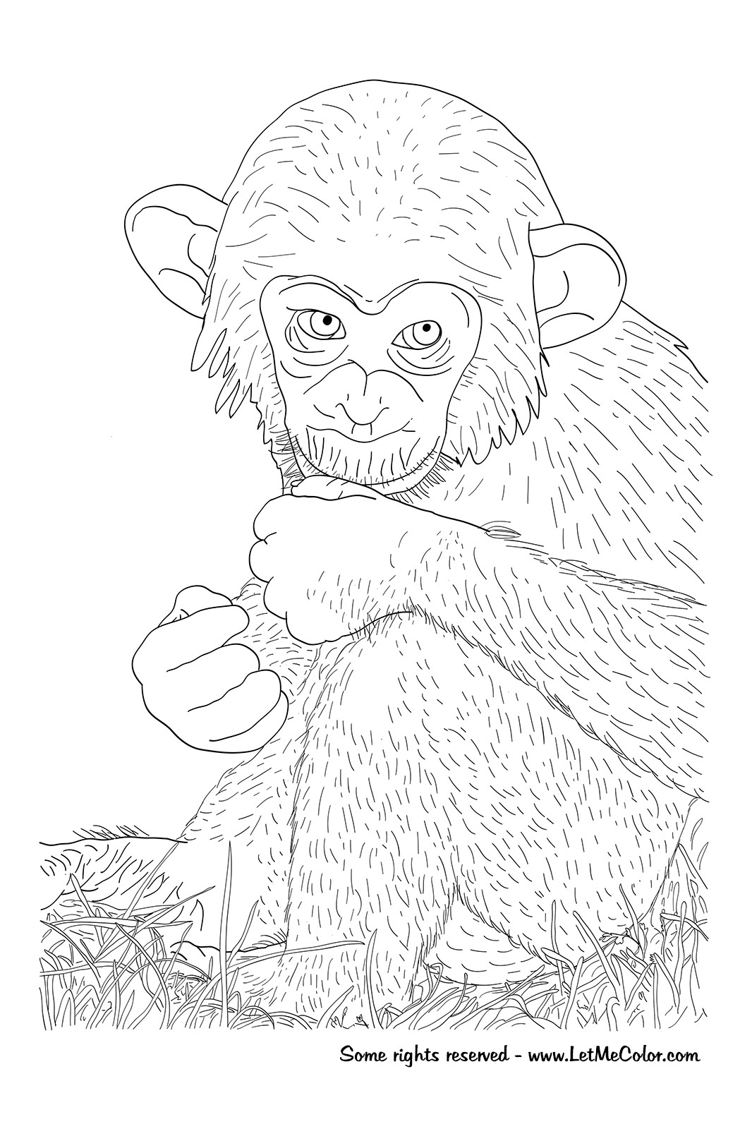 1066x1600 Chimpanzee Coloring Pages Prepossessing Acpra