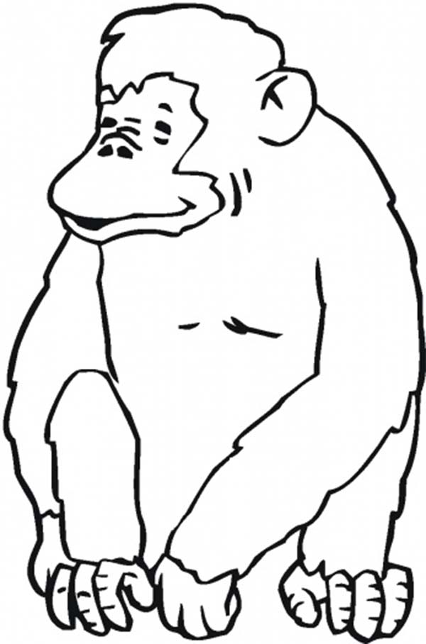 600x908 Laughing Chimpanzee Coloring Page Coloring Sun