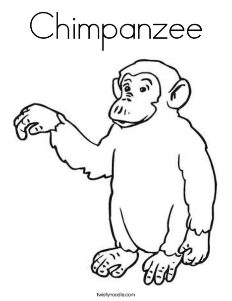 468x605 Chimpanzee Coloring Page