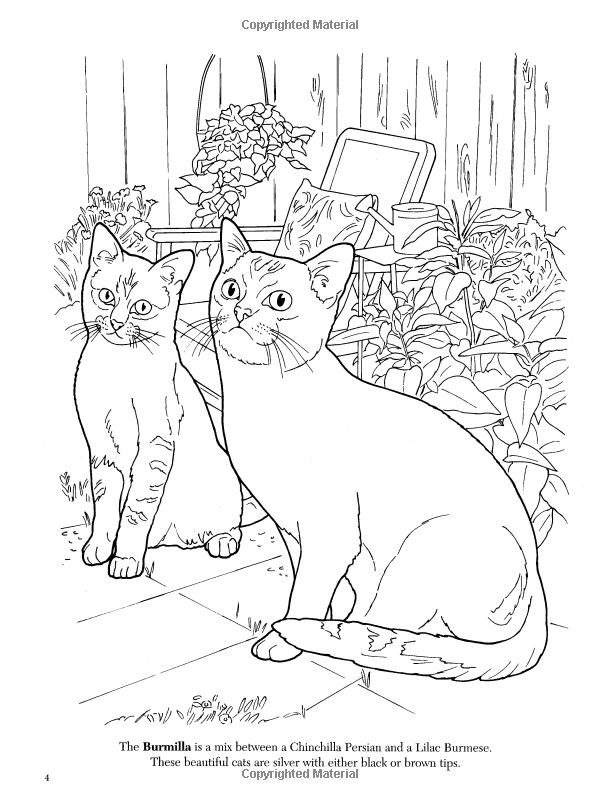 600x800 69 Best Cat Coloring Pages Images On Coloring Books