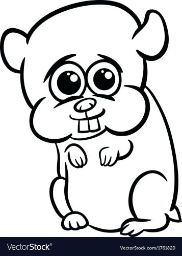 357x500 Coloring Pages ~ Hamster Coloring Pages Chinchilla 1 A Cute Baby