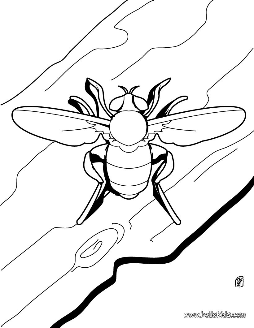 820x1060 Small Animal Coloring Pages