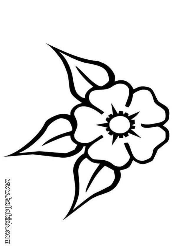 601x850 Coloring Pages Flowers And Butterflies Free Printable Within