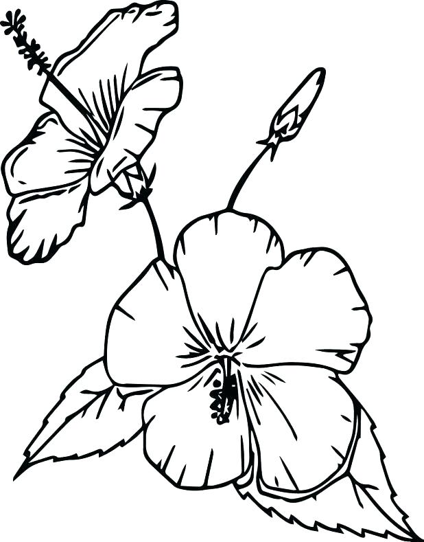 618x789 Coloring Pictures Of Flowers In A Vase Flower Vase Coloring Page