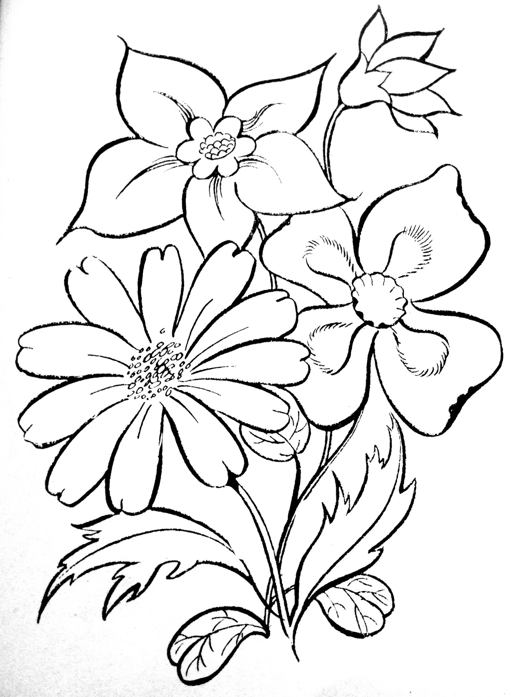 1779x2336 Pin By Jillane Saunders On Coloring Pages Amp Basic Patterns