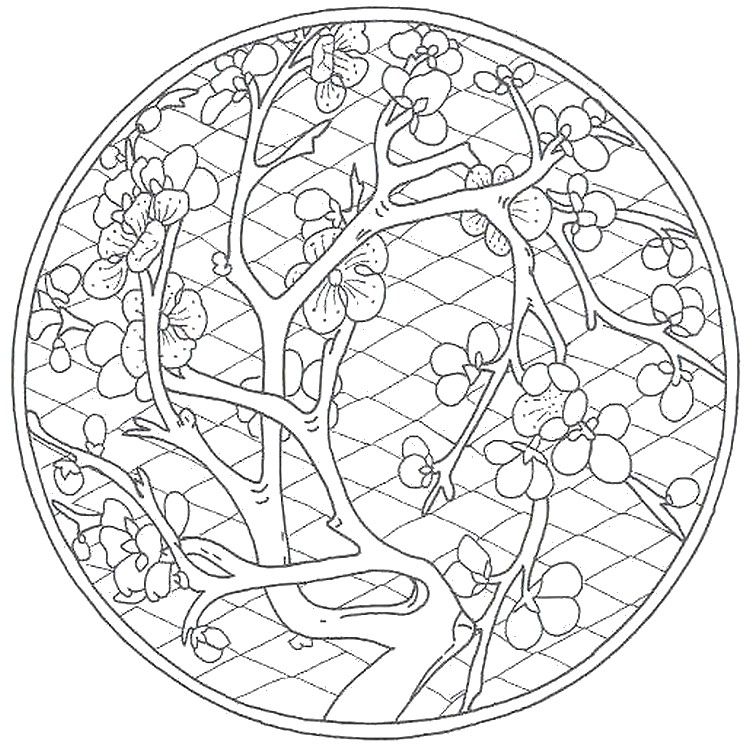 750x746 Adult Coloring Pages China
