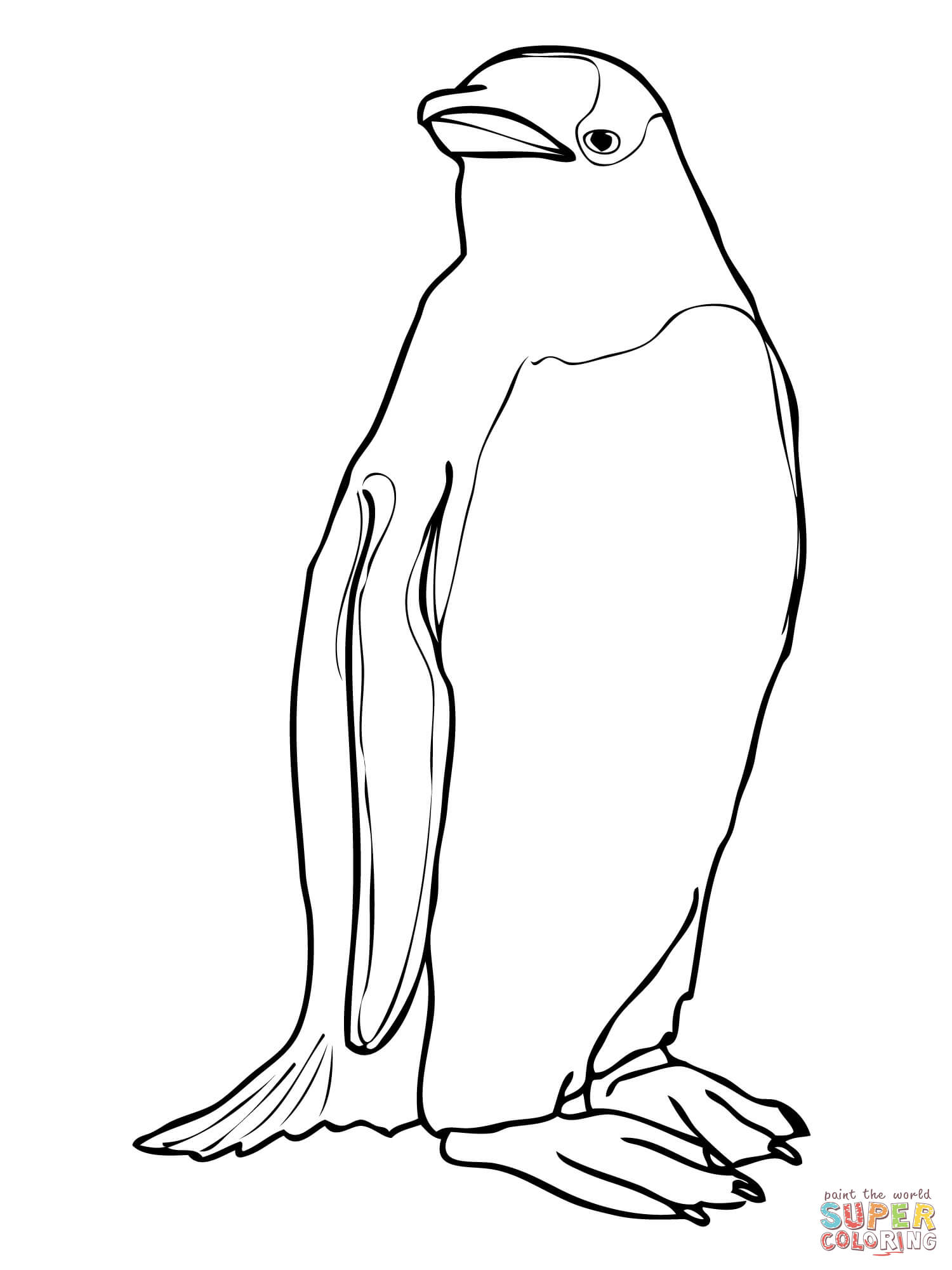 1500x2000 Collection Of Solutions King Penguin Coloring Pages For Gentoo