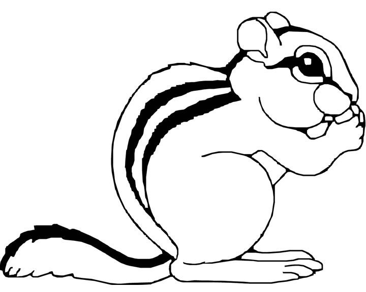 720x576 Cartoon Chipmunk Cute Animal Chipmunk Printable Coloring Sheet