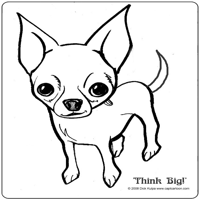 700x700 Pomeranian Chihuahua Mix Chiwawa Coloring Pages