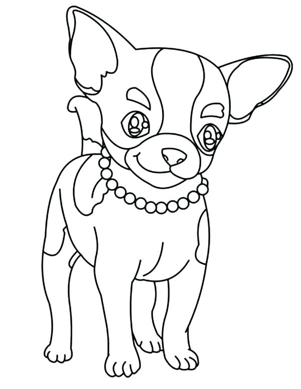 600x775 Teacup Chihuahua Coloring Pages Chihuahua Coloring Page Chihuahua