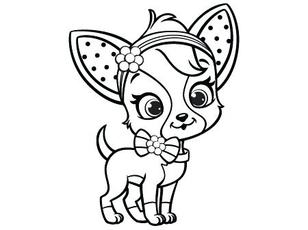 450x336 Chihuahua Coloring Page Astounding Chihuahua Coloring Pages 91