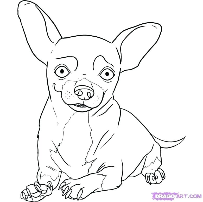 780x778 Chihuahua Coloring Page Chihuahua Coloring Page Beverly Hills
