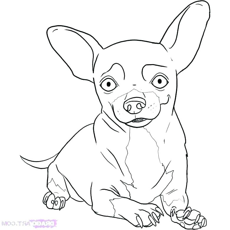 780x778 Chihuahua Coloring Page Chihuahua Coloring Page S S S Chihuahua