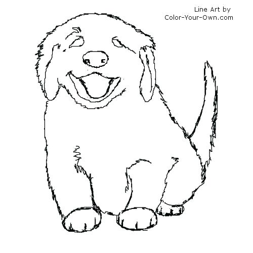 Here Are Realistic Dog Coloring Pages Pictures Retriever Coloring 500x500 Here Are Realistic Dog Coloring Pages Pictures Retriever Coloring