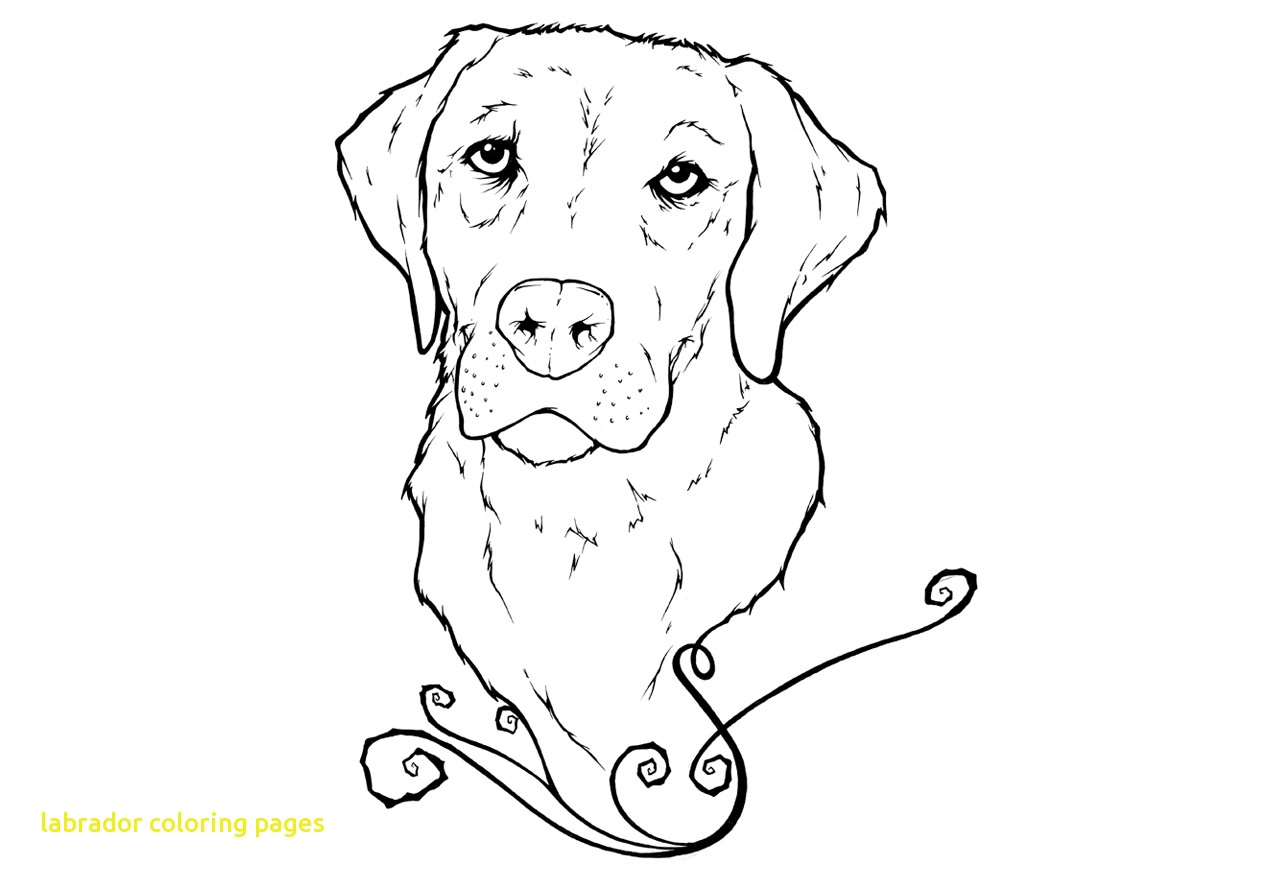 Labrador Coloring Pages With Black Lab Coloring Pages 4109 1280x880 Labrador Coloring Pages With Black Lab Coloring Pages 4109