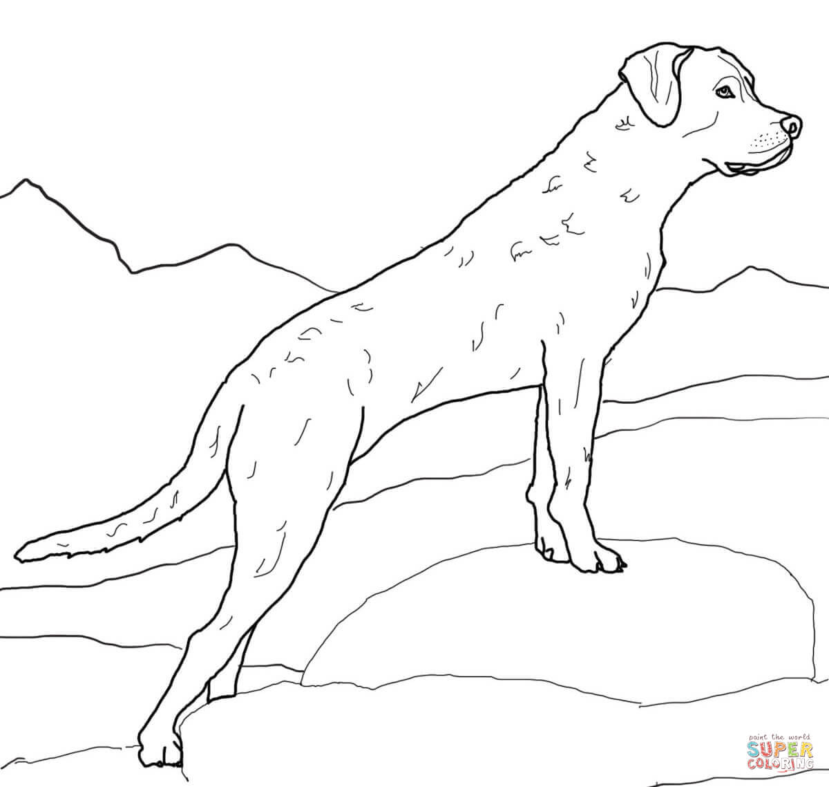 Labrador Retriever Coloring Page Free Printable Coloring Pages 1200x1138 Labrador Retriever Coloring Page Free Printable Coloring Pages