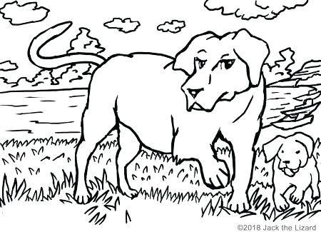 Retriever Coloring Pages Coloring Pages Of Retrievers Retriever 450x325 Retriever Coloring Pages Coloring Pages Of Retrievers Retriever
