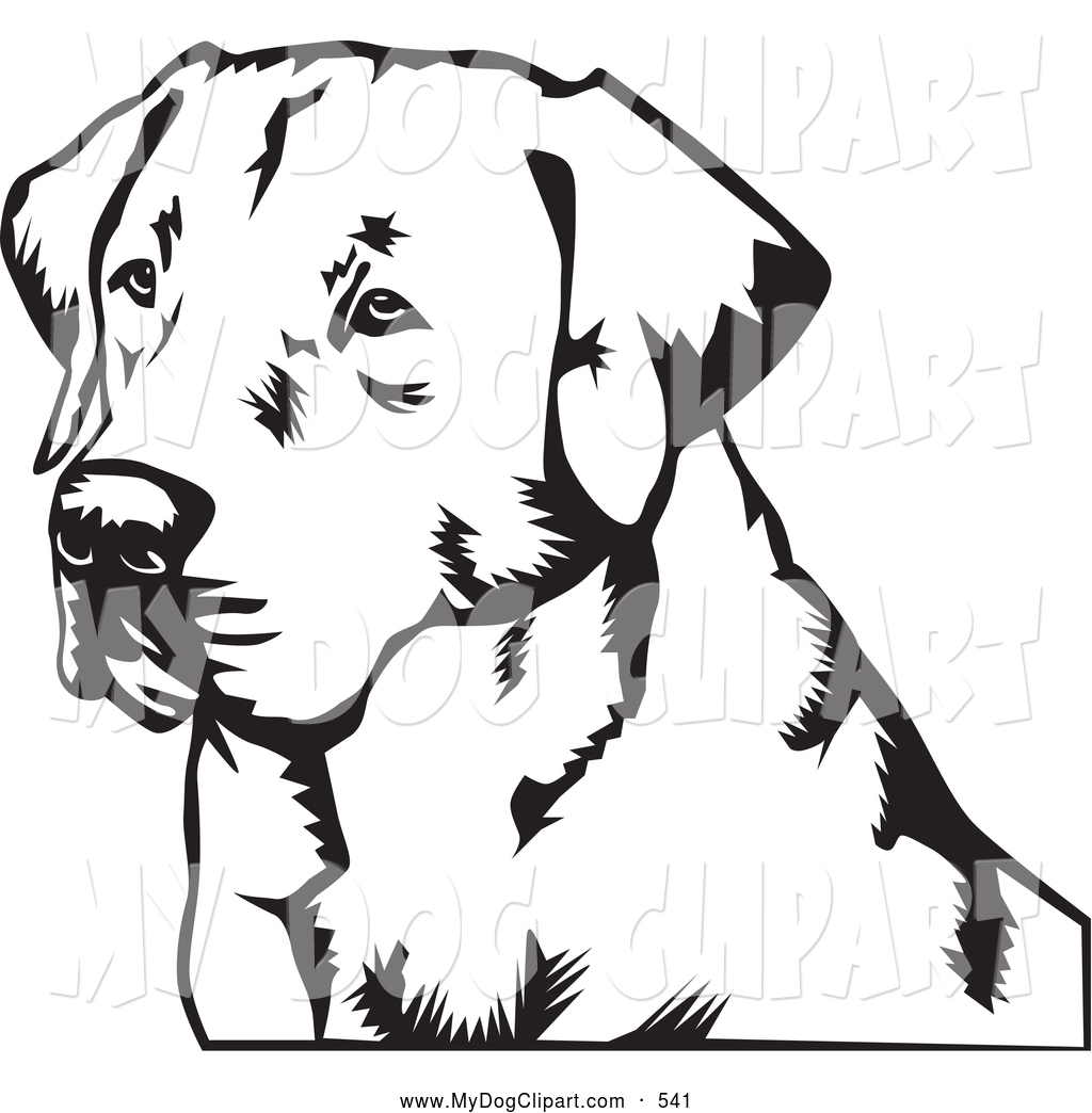 Category Coloring Pages Sub Category Labrador Retriever Coloring 1024x1044 Category Coloring Pages Sub Category Labrador Retriever Coloring