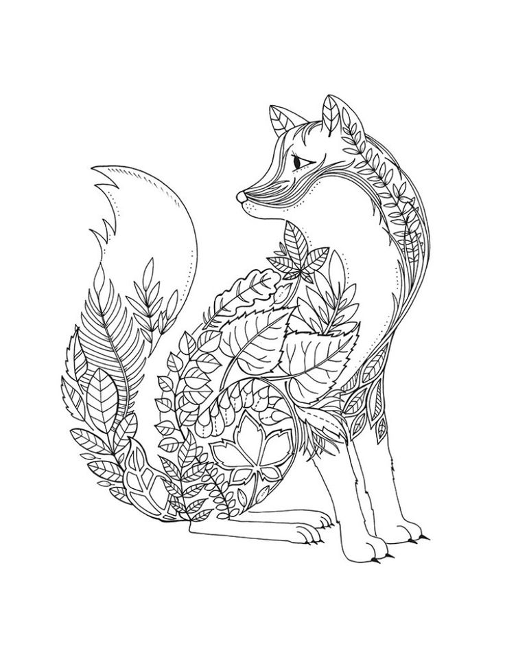 242 Best Images On Print Coloring Pages 736x948 242 Best Images On Print Coloring Pages