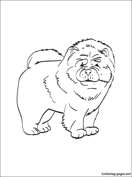 Chow Chow Coloring Page Coloring Pages 560x750 Chow Chow Coloring Page Coloring Pages