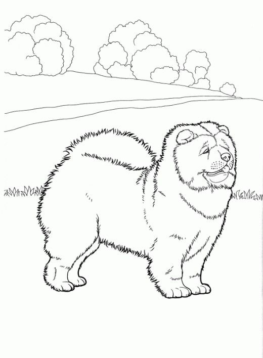 Best Dog Coloring Pages Dog, Free Dogs And Stress Reliever 520x708 Best Dog Coloring Pages Dog, Free Dogs And Stress Reliever
