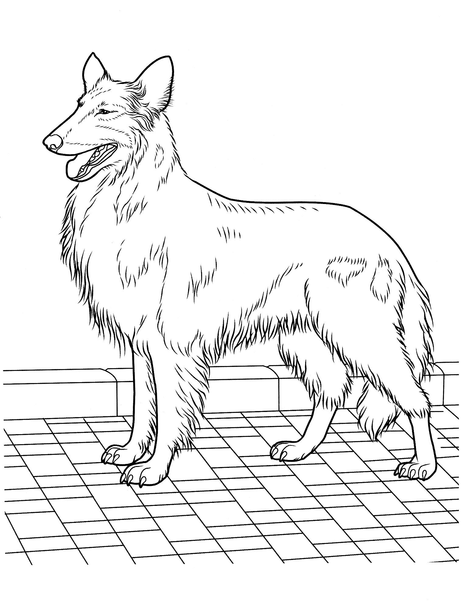 Dog Coloring Pages 22 Teenagers Coloring Pages Favorite Dog 1538x2013 Dog Coloring Pages 22 Teenagers Coloring Pages Favorite Dog