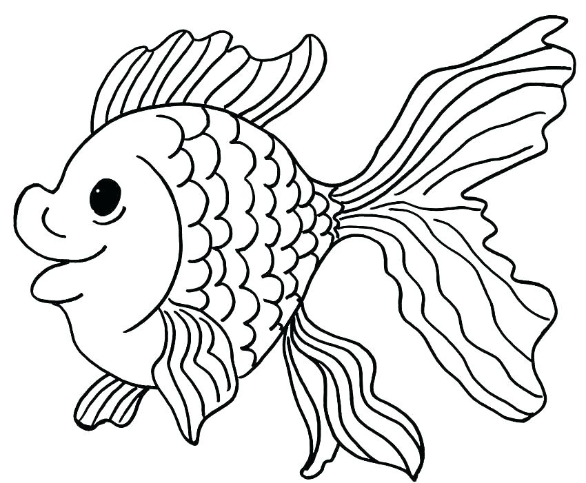 850x701 Coloring Rainbow Fish Coloring Page Chowder Pages As Drawn Gold 7