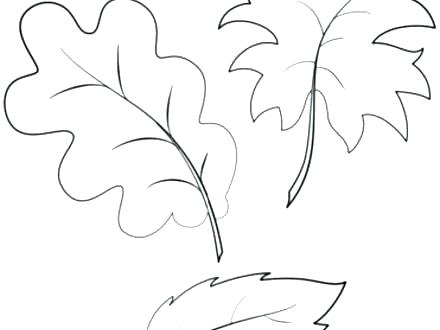 Kindergarten Coloring Pages Free Leaves Coloring Pages Fall 440x330 Kindergarten Coloring Pages Free Leaves Coloring Pages Fall