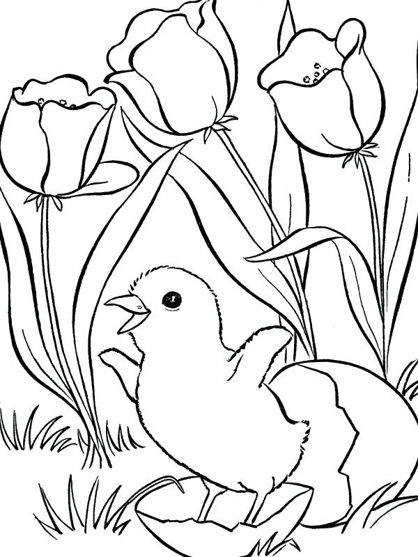 Spring Pictures Colouring Pages Free Christian Spring Coloring 600x800 Spring Pictures Colouring Pages Free Christian Spring Coloring
