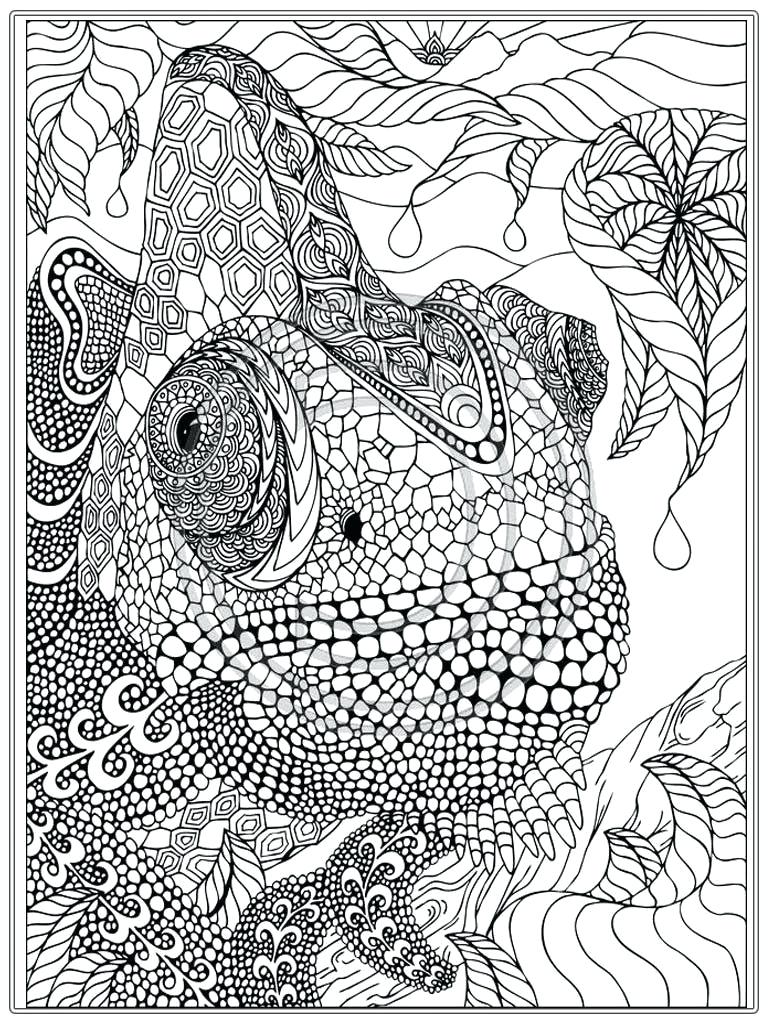 Coloring Pages Advanced 768x1024 Coloring Pages Advanced