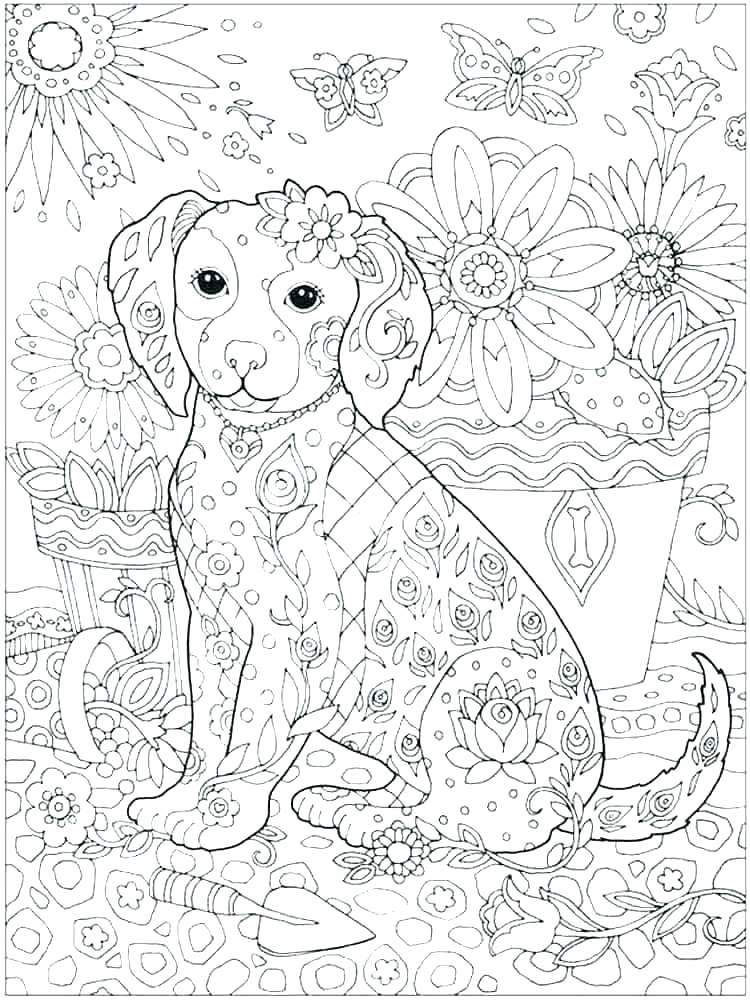 Printable Advanced Coloring Pages Free Coloring Pages Mandala 750x1000 Printable Advanced Coloring Pages Free Coloring Pages Mandala