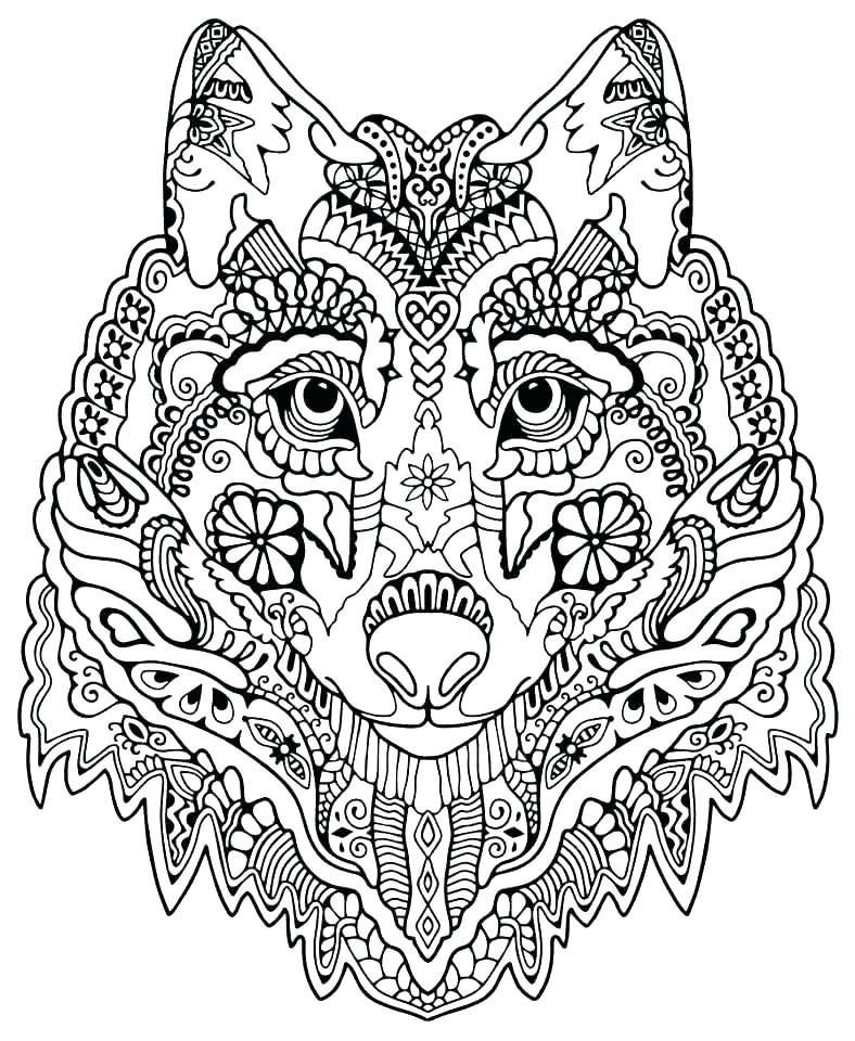 Free Advanced Coloring Pages 788x960 Free Advanced Coloring Pages