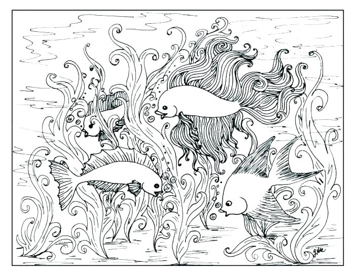 Advanced Coloring Pages Printable Advanced Mandala Coloring Pages 700x542 Advanced Coloring Pages Printable Advanced Mandala Coloring Pages