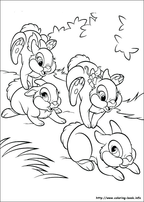 567x794 Fresh Pictures Of Bunnies To Color Coloring Pages Bunny Cartoon