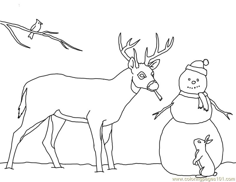 Christmas Card Deer Snowman Coloring Page 800x618 Christmas Card Deer Snowman Coloring Page