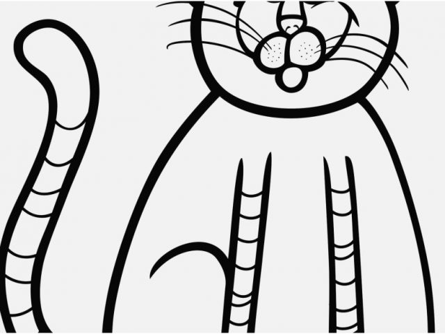 Cat Coloring Sheets Display Christmas Cat Coloring Pages 640x480 Cat Coloring Sheets Display Christmas Cat Coloring Pages