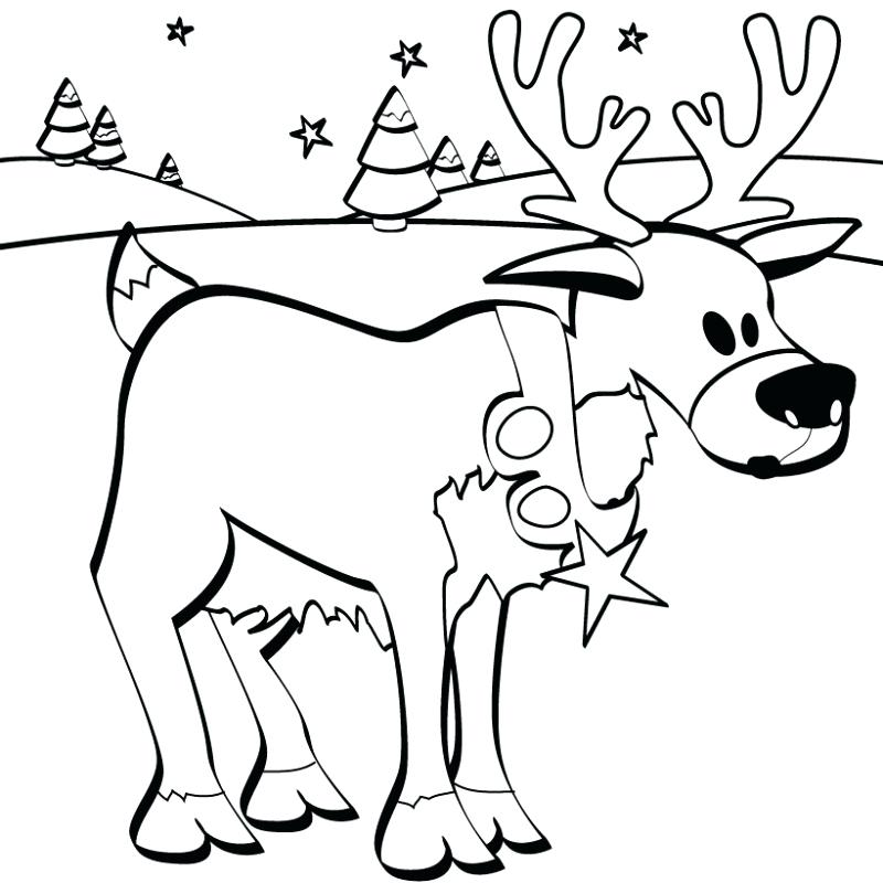 800x800 Free Christmas Coloring Pages Cat Coloring Page Free Christmas