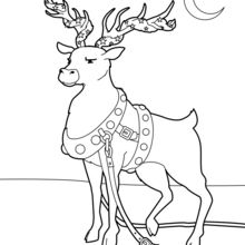 Christmas Reindeer Coloring Pages 220x220 Christmas Reindeer Coloring Pages