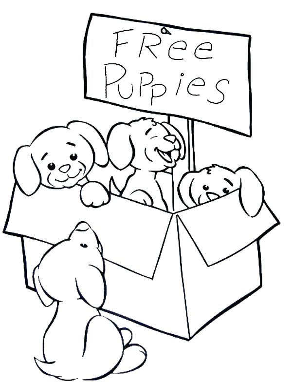 Puppy Coloring Page Puppies Coloring Page Cute Puppies Coloring 600x786 Puppy Coloring Page Puppies Coloring Page Cute Puppies Coloring