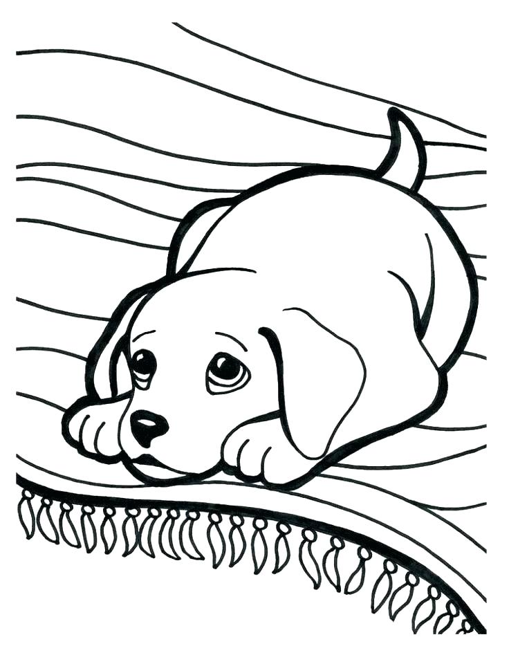 Christmas Coloring Pages Puppy And Ribbon Puppies Page Free 736x960 Christmas Coloring Pages Puppy And Ribbon Puppies Page Free