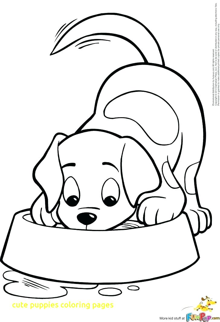 Puppys Coloring Pages Puppy Colouring Pages Kittens And Puppies 728x1066 Puppys Coloring Pages Puppy Colouring Pages Kittens And Puppies