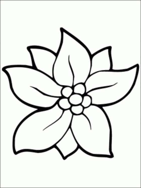 Christmas Flower Coloring Page Coloring Pages Flower 560x750 Christmas Flower Coloring Page Coloring Pages Flower